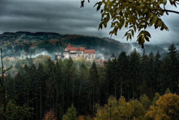 Чехия Прага природа