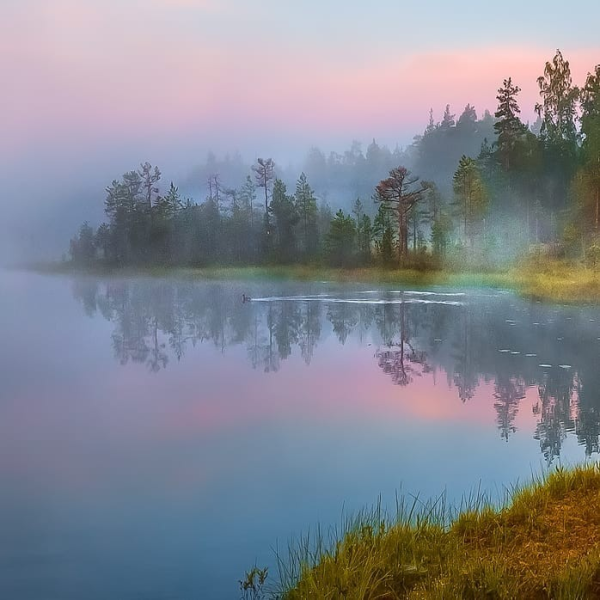 Умиротворенное утро