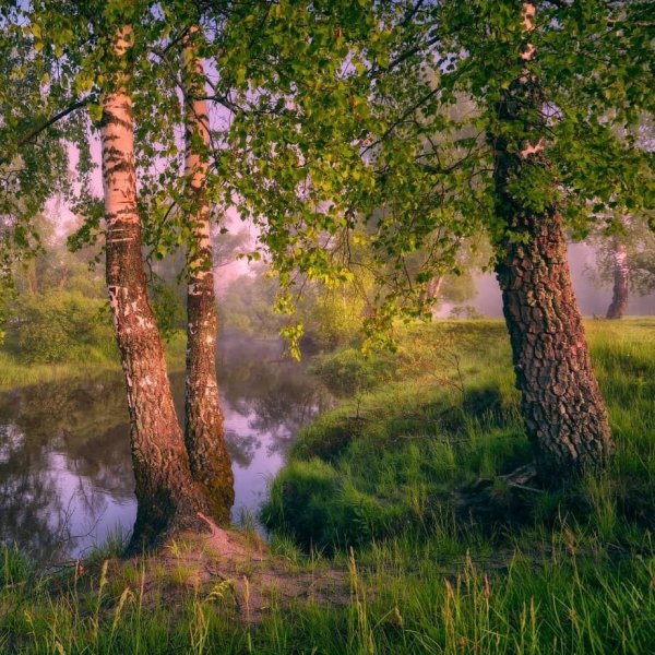 Благодать природы