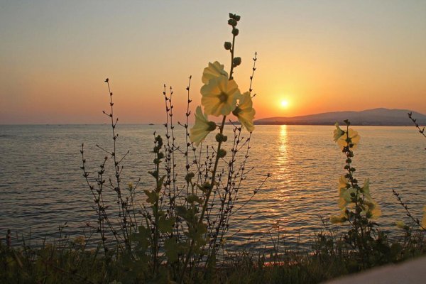 Зелень вода рассвет закат умиротворение Благодать
