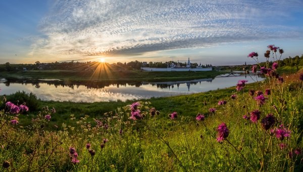 Природа река береза солнце