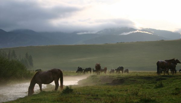 Красивая природа Тувы
