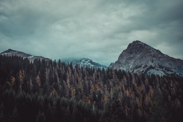 Пасмурные горы