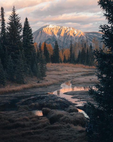 Дикий пейзаж