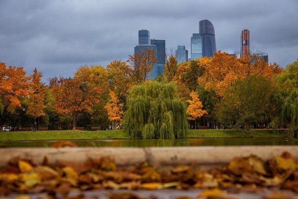 Москва Золотая осень парк