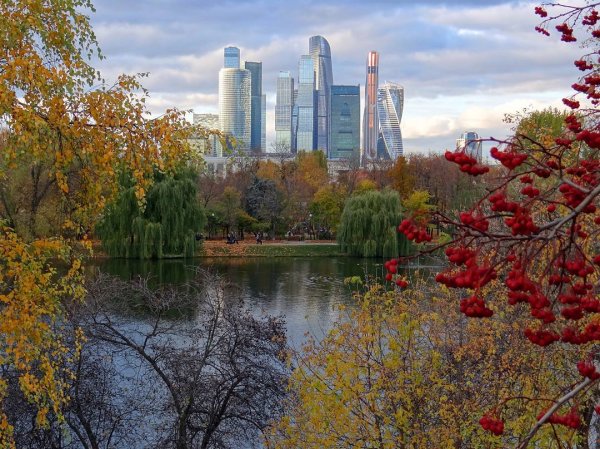 Москва Сити Сити осень