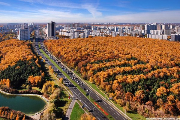 Юго-Западный лесопарк Москва