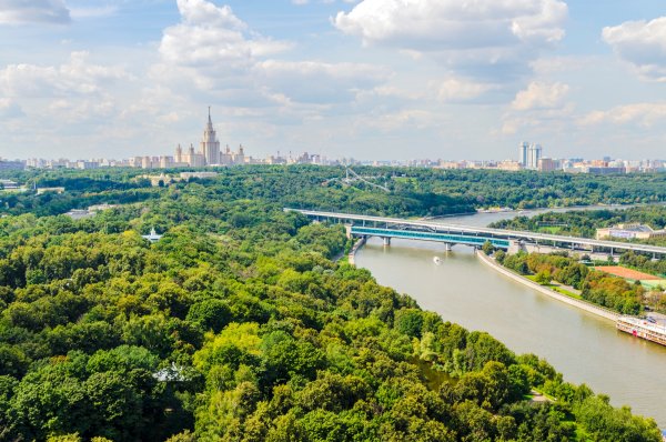 Парк Воробьевы горы Москва