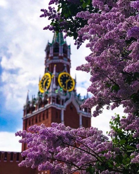 Цветущая Москва