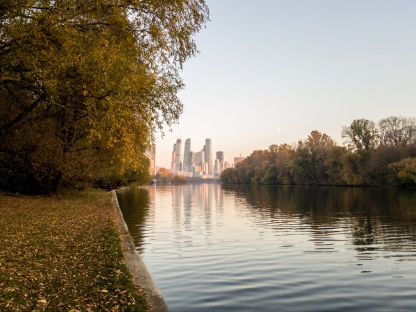 Парк около Москвы реки