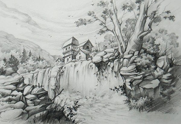 Рисунки карандашом природа