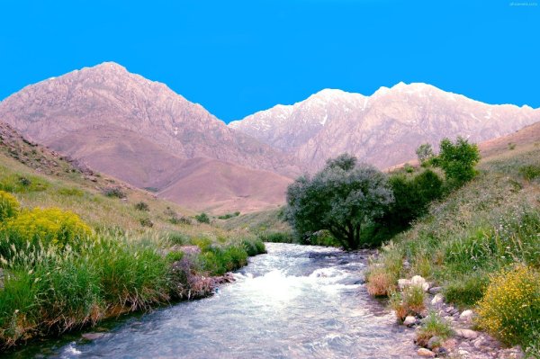 Горы в Иране и Туркмении