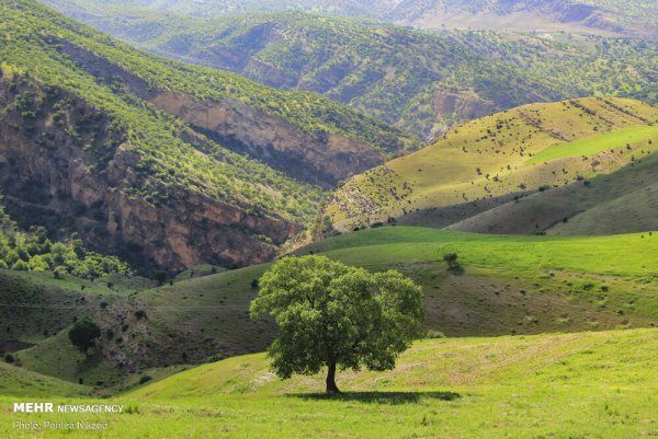Луристан Иран природа