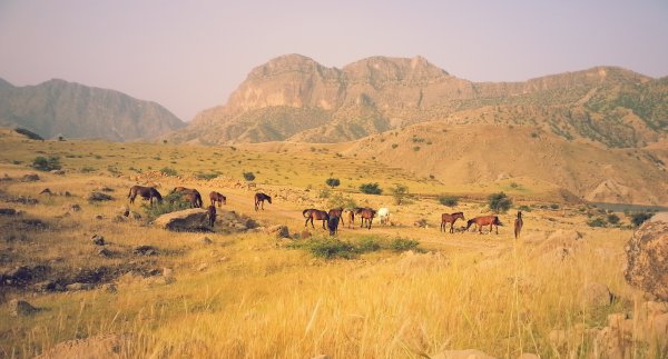 Луристан Иран природа