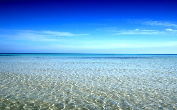 Белое море