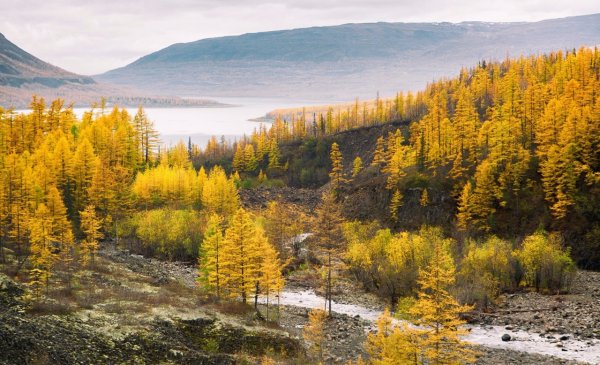 Плато Путорана осень