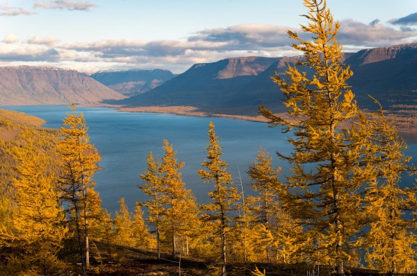 Таймыр плато Путорана