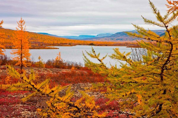 Осень Таймыр Норильск
