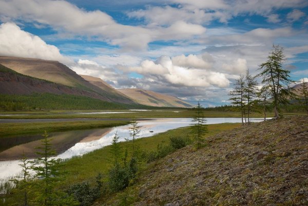 Заповедник плато Путорана Красноярский край