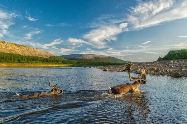 Таймыр плато Путорана