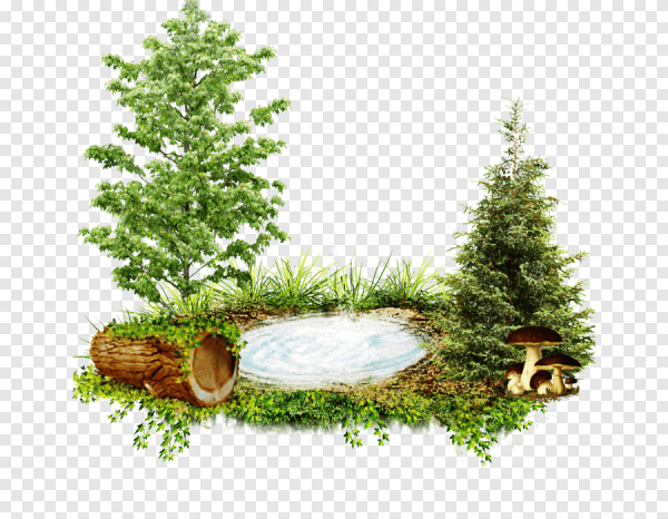 Клипарты на прозрачном фоне природа