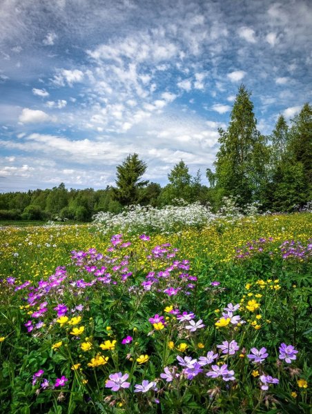Азорские острова