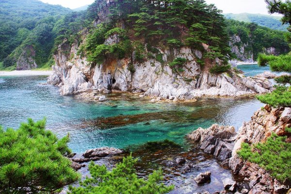 Дальневосточный морской заповедник Приморский край