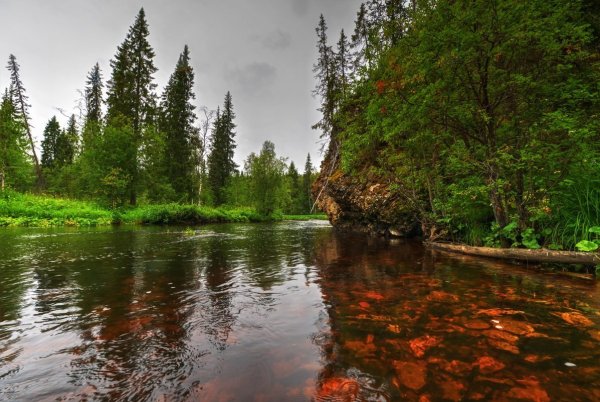 Коми природа Сыктывкар