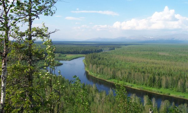 Река Седью Республика Коми