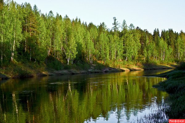 Природа Сосногорск Республика Коми