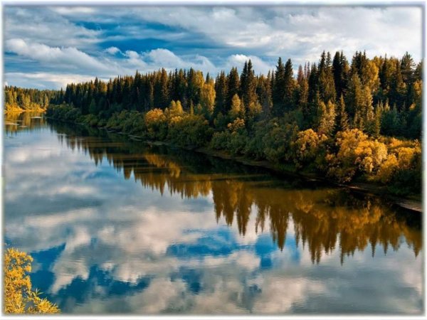 Природа Сыктывкара и Республики Коми