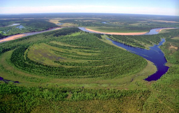 Леса Республики Коми