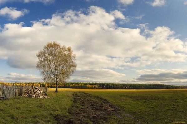 Природа среднерусской полосы