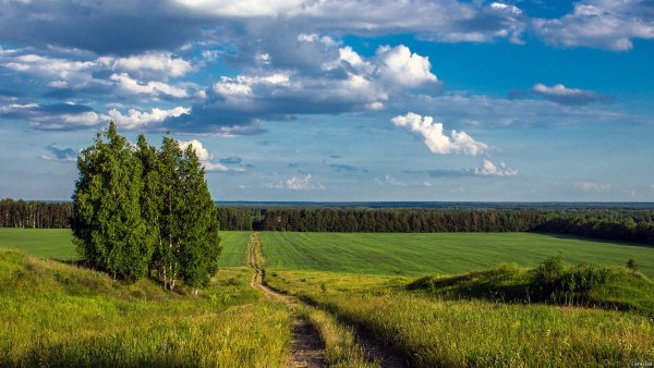 Среднерусская лесостепная провинция