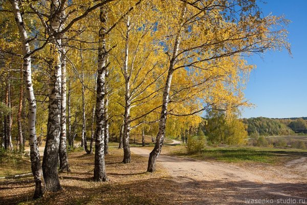 Природа средней полосы России