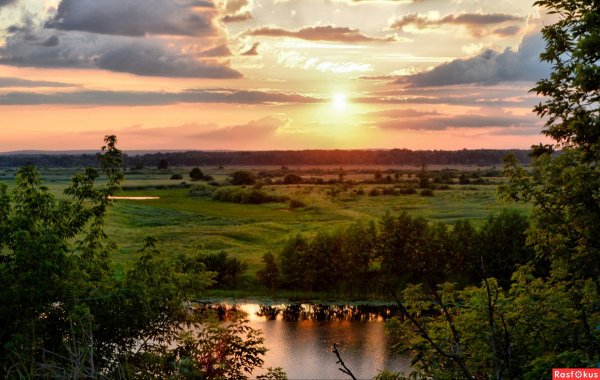 Курский край Соловьиный край