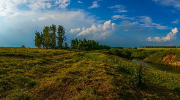 Центральное Черноземье природа