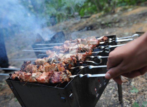 Шашлыки на даче