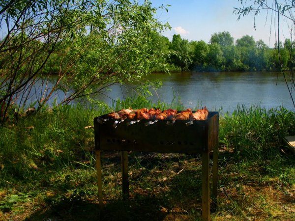Шашлык на мангале на природе