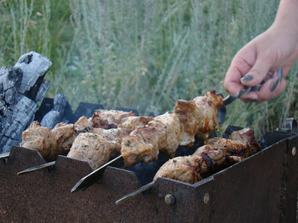 Шашлыки на природе