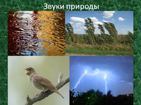 Шум природы