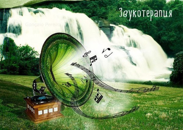 Шумовые звуки в природе