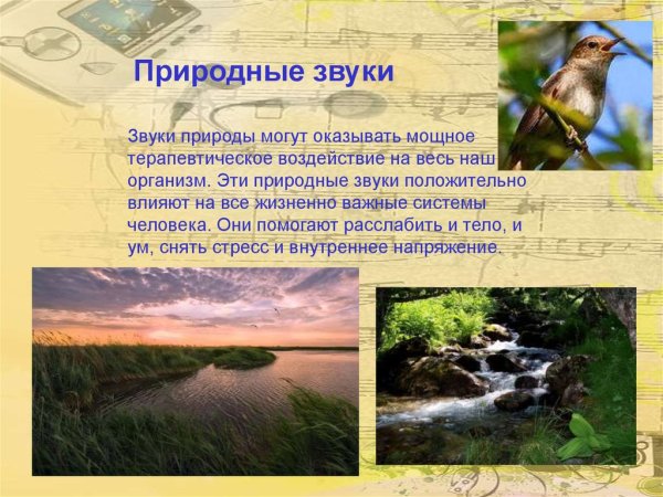 Презентация звуки природы