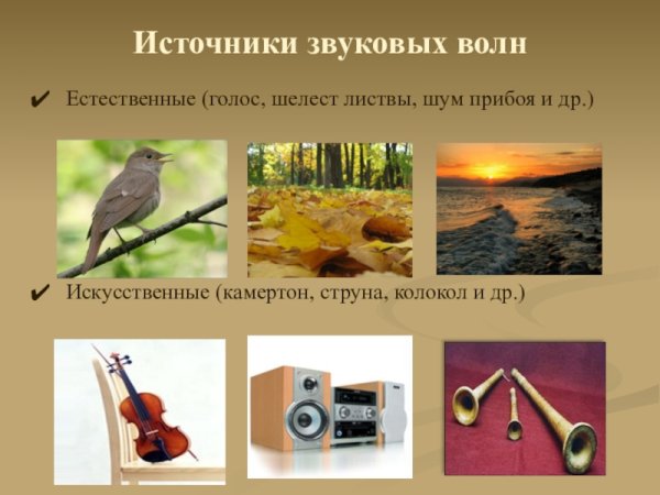 Источники звуковых волн
