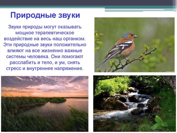 Презентация звуки природы