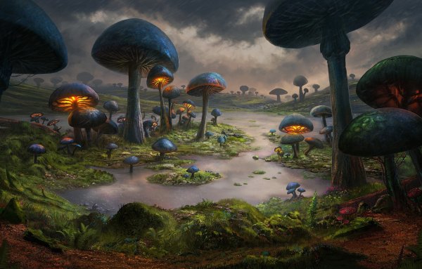 Фантастические грибы фильм