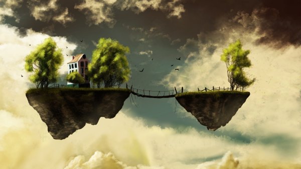 Дерево на ветру
