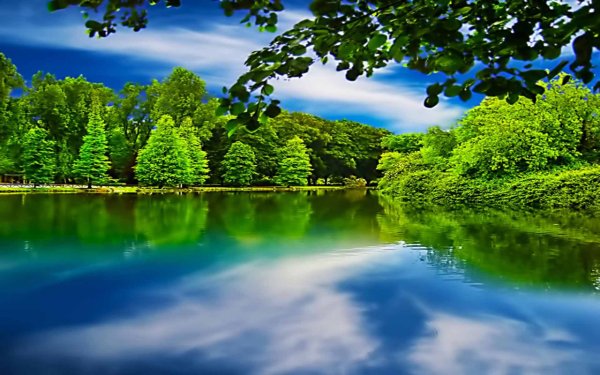 Красивые пейзажи с водой