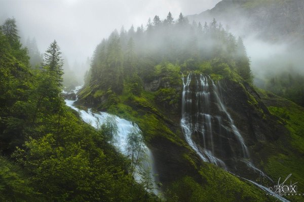 Некрасивая природа