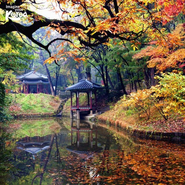 Южная Корея природа